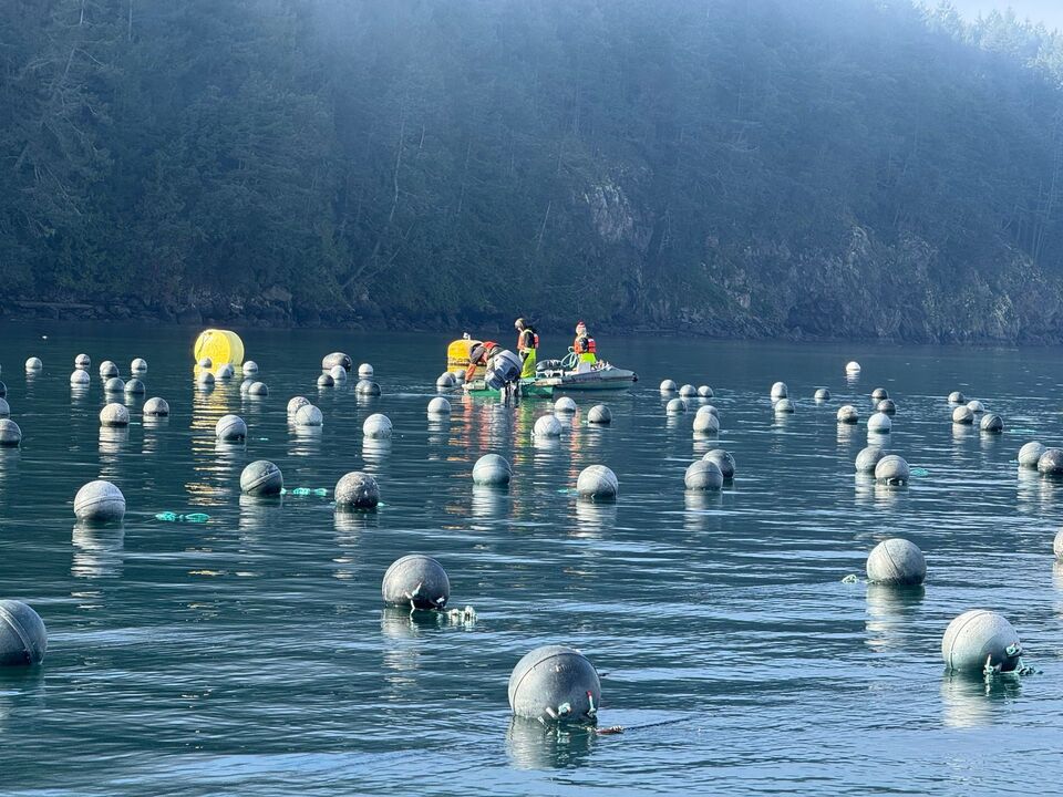 Prevost Island